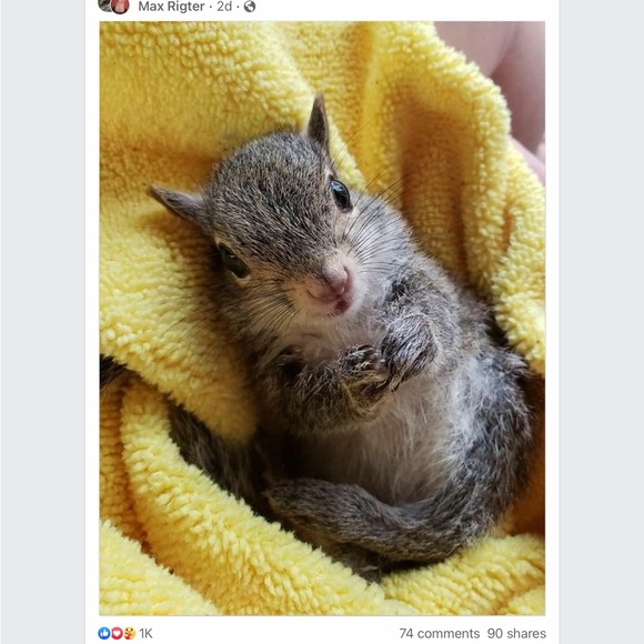 Source Unknown Other - Wrist injury, no shares sorry bbs